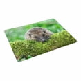 thumbnail image 2 of MKHERT Funny Animal Wild Hedgehog on Green Moss Doormat Rug Home Decor Floor Mat Bath Mat 23.6x15.7 inch, 2 of 3