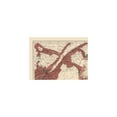 thumbnail image 4 of Historic Map - New Brunswick Canada Origins - White 1906 - Vintage Wall Art, 4 of 4