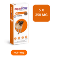 thumbnail image 1 of Pack de 5 Comprimido Bravecto Antipulgas Antigarrapatas 250 Mg 4.5-10Kg (5 de 250 mg), 1 of 1