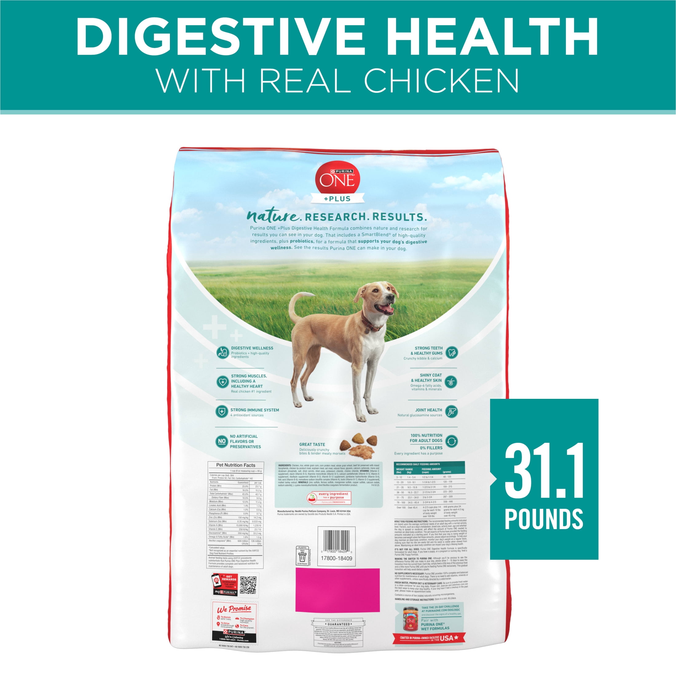 Purina One Plus Dry Dog Food for Adult Dogs, High Protein, Sensitive Stomach, Chicken, 31.1 lb Bag
