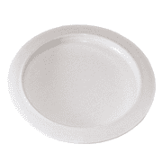 Rehabilitation Advantage Plate with Curved Inner Lip Dishwasher Safe 1 Pack 9 Inch Diameter