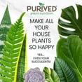thumbnail image 6 of Purived Houseplant Food | 16oz Concentrate Makes 50 Gallons | All-Purpose Plant Fertilizer for Potted Indoor Houseplants | Easy to Use | Made in USA, 6 of 8