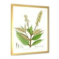 thumbnail image 2 of Designart 'Ancient Brazilian Plant V' Traditional Framed Art Print, 2 of 4