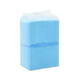 thumbnail image 1 of Disposable Changing Pad for Pets & Baby, Non Woven Fabric High Absorption Underpad, Leak-Proof Bed Table Protector, 1 of 2