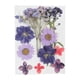 thumbnail image 2 of 2 Bolsas de Flores Secas Reales Naturales, Hojas Prensadas, Artesanías Florales para Bricolaje, Adorno para álbum de Recortes, Fabricación de Tarjetas, 2 of 9