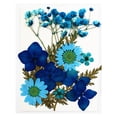 thumbnail image 1 of Advancent Conjunto de flores secas, materiales decorativos de calcomanías de flores reales, etiqueta de espécimen prensado, pintura, estilo postal, Decoración del hogar Azul Advancent HA062474-03B, 1 of 6