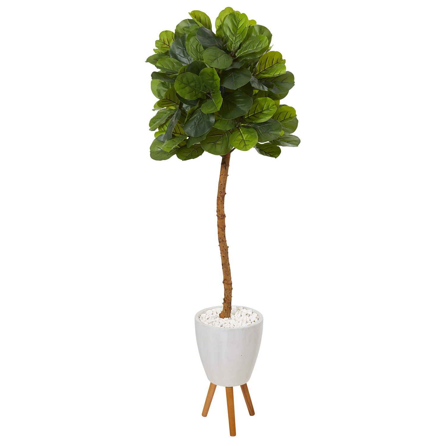 Nearly Natural 5.5ft. Fiddle Leaf Artificial Tree in White Planter with