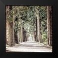 thumbnail image 2 of Allen, Kimberly 15x15 Black Modern Framed Museum Art Print Titled - Path, 2 of 5