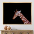 thumbnail image 2 of Designart 'Portrait of A Giraffe On Black Background I' Farmhouse Framed Canvas Wall Art Print, 2 of 5