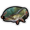 thumbnail image 1 of Muskie Fishing - 8" Vinyl Sticker - For Car Laptop I-Pad - Waterproof Decal, 1 of 1