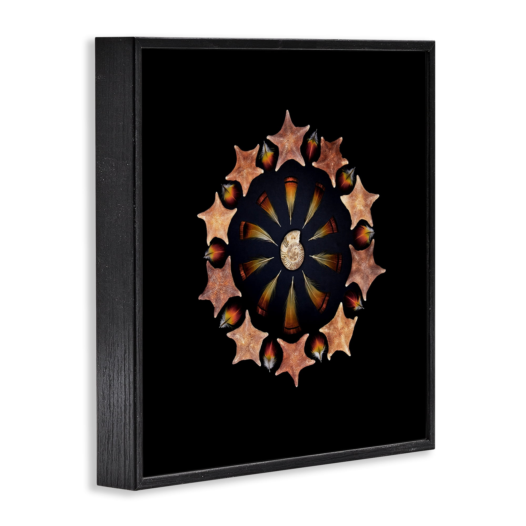 Stupell Industries Nautical Nature Arrangement Black Framed Giclee Art, design by Beth Adoette