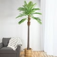thumbnail image 2 of Northlight 8' Unlit Artificial Potted Phoenix Palm Tree, 2 of 7