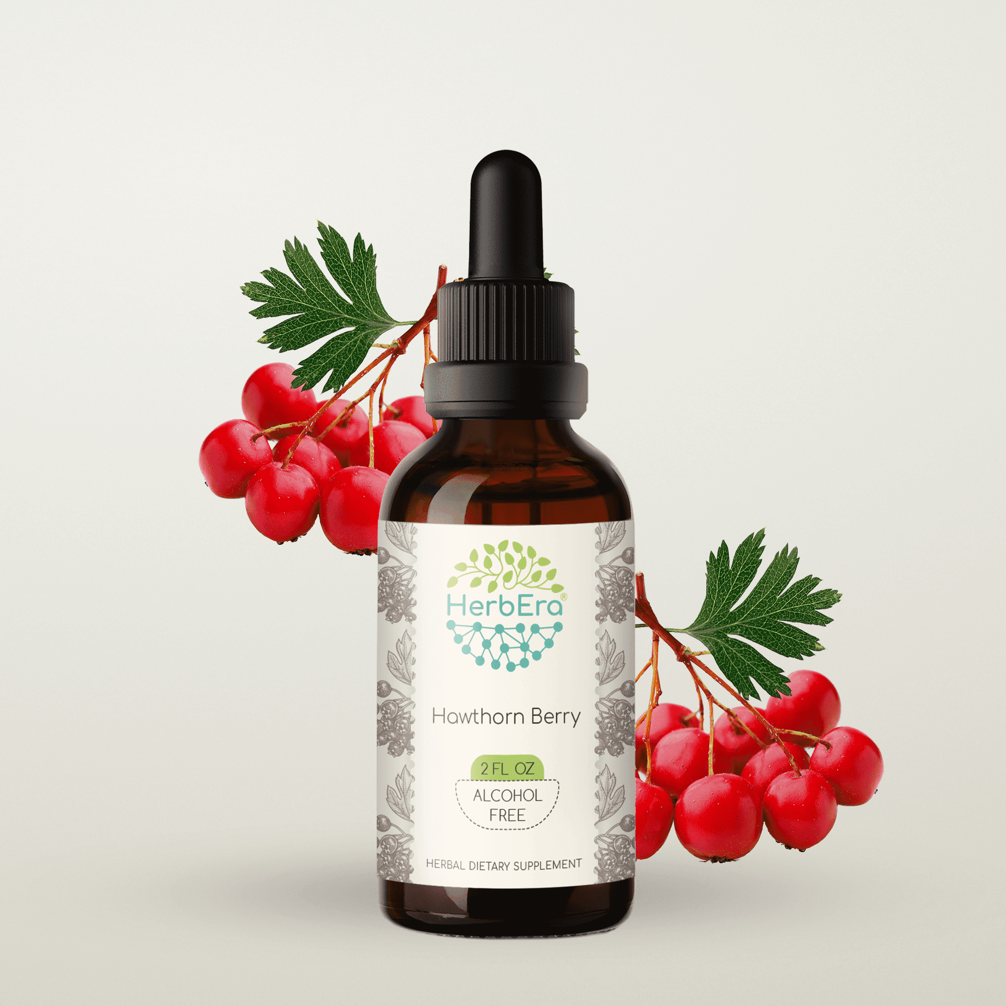 HerbEra Hawthorn Berry Tincture, Herbal Dietary Supplement for Heart Support, Hawthorn Berry (Crataegus spp.) Dried Berry Extract, Natural, Alcohol-Free, Drops 2 oz