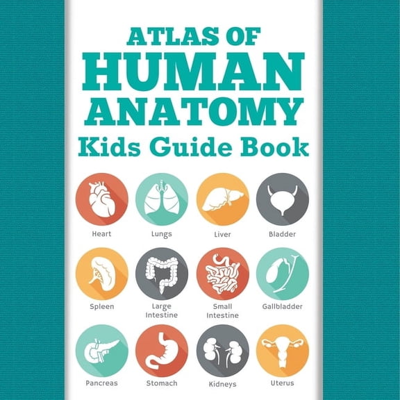 Atlas Of Human Anatomy: Kids Guide Book, (Paperback)
