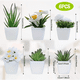 thumbnail image 2 of 6 Macetas Plantas Artificiales Barro Decoración Xtellar Verde, 2 of 3