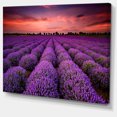 thumbnail image 2 of Coucher de Soleil Rouge sur Champ de Lavande - Art Mural Paysage Extra Large, 2 of 3