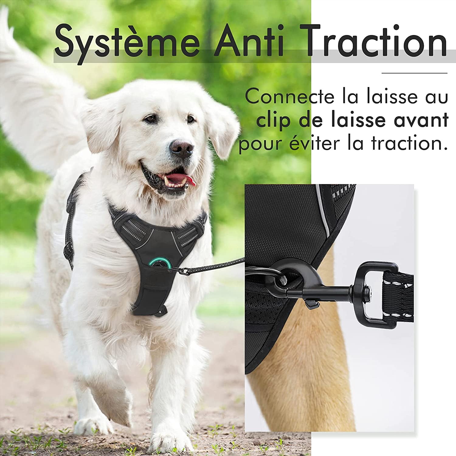 Dog Harness Black Adjustable Vest for Large Dogs, Front Attachment
