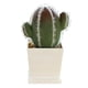 thumbnail image 1 of Simulación de plantas tropicales, cactus bonsái, pequeños adornos creativos de interior, plantas verdes, cactus en macetas, 1 of 5