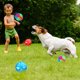 thumbnail image 5 of 4 Piezas Bolas para Perros con Luz Espinosa Led Brillante Bola con Puntas para Mascotas Bola Elástica Intermitente Bolas Espinosas para Mascotas Bola Molar Juguetes Interactivos para Gatos para M, 5 of 5