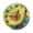 ZZNZ06027003, variant on Zhmjortal Avocado Pattern Round Wall Clock Silent Non-Ticking Battery Operated Clock 10 Inch, Fruit Pattern Home Decor for Living Room, Kitchen, Bedroom, and Office