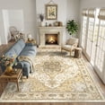 thumbnail image 2 of CHITOOMA 8'x10' Boho Area Rugs for Living Room, Machine Washable Stain Resistant Non-Shed Carpet, Area Rug with Non-Slip Backing for Bedroom, Dining Room, Dorm, Office, 2 of 9