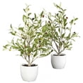 thumbnail image 1 of 18 in. Olive Silk Tree with Vase -Set of 2, 1 of 1