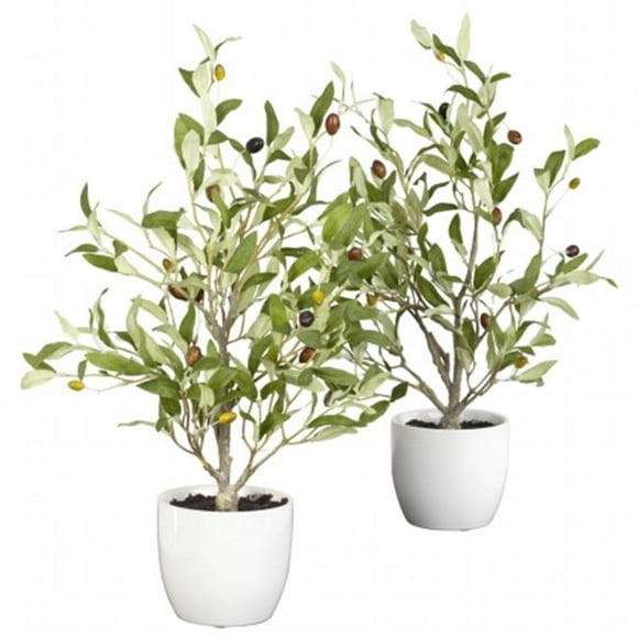 18 in. Olive Silk Tree with Vase -Set of 2