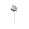 thumbnail image 2 of Xecvkr Artificial Trumpet Flower Stems Faux Fabric Floral Arrangement 6 Head Home Office Wedding Table Centerpiece Flexible Custom DIY Durable 1 Pack Pink, 2 of 6
