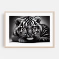 thumbnail image 2 of Tiger cub in close-up 03 - Photography Tiger Wildlife Animal Black and White Portrait Nature Illustration Unframed Wall Art Print 20 x 30 inches, 2 of 7
