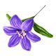 thumbnail image 1 of Flor de limpiapipas terminada, artesanía de flores de lirio artificiales hechas a mano, regalos para mujeres, mamás, abuelas, novias en cumpleaños, Día de la Madre, 1 of 8