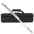 thumbnail image 4 of Pertormance 16 Hole C Flute Exquisite And Elegant Silver Flute, Beginners For Home Silver, 4 of 8