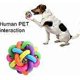 thumbnail image 4 of Colorful Dog Chew Toys - Random Colors S, 4 of 4