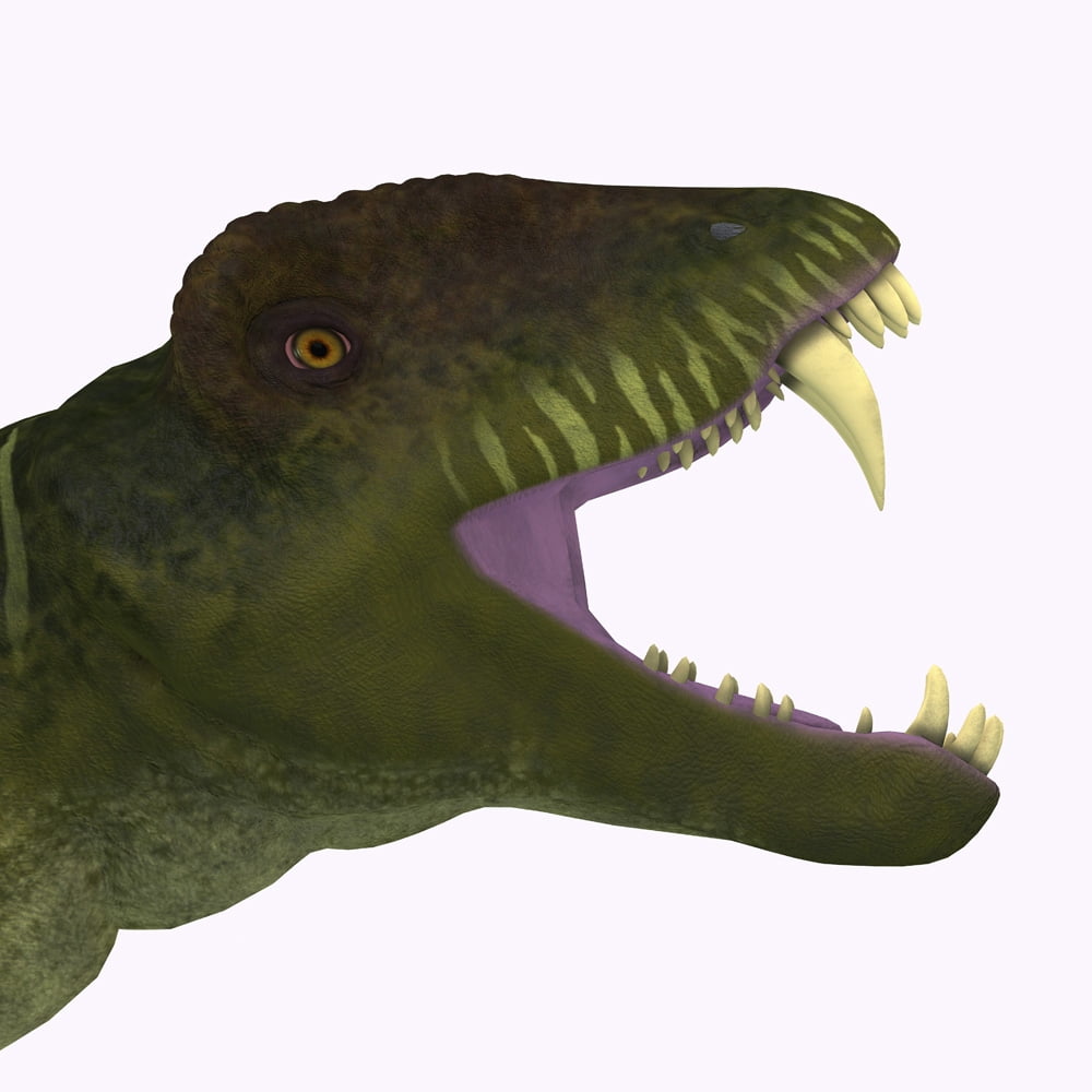 Doliosauriscus dinosaur head. Poster Print by Corey Ford/Stocktrek Images (12 x 12) - Walmart