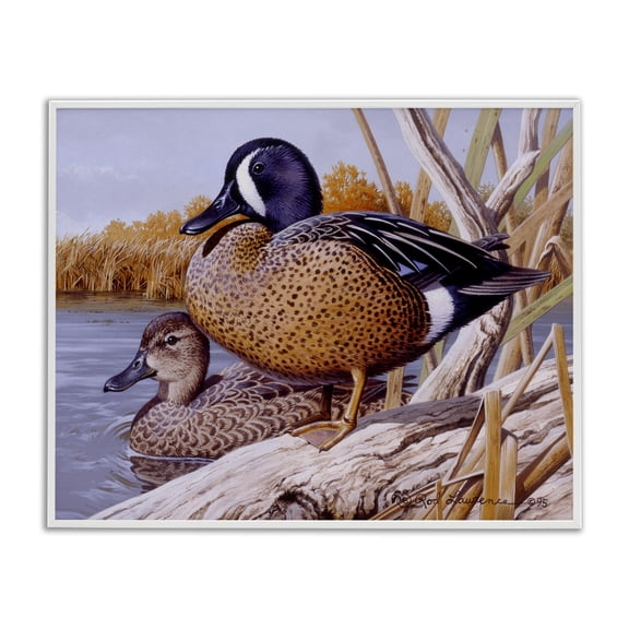 Stupell Industries Traditional Ducks at Pond's Edge White Framed Giclee Art, 20 x 16, by Rod Lawrence