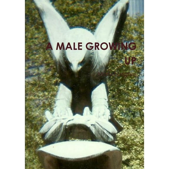 A Male Growing Up, (Paperback)