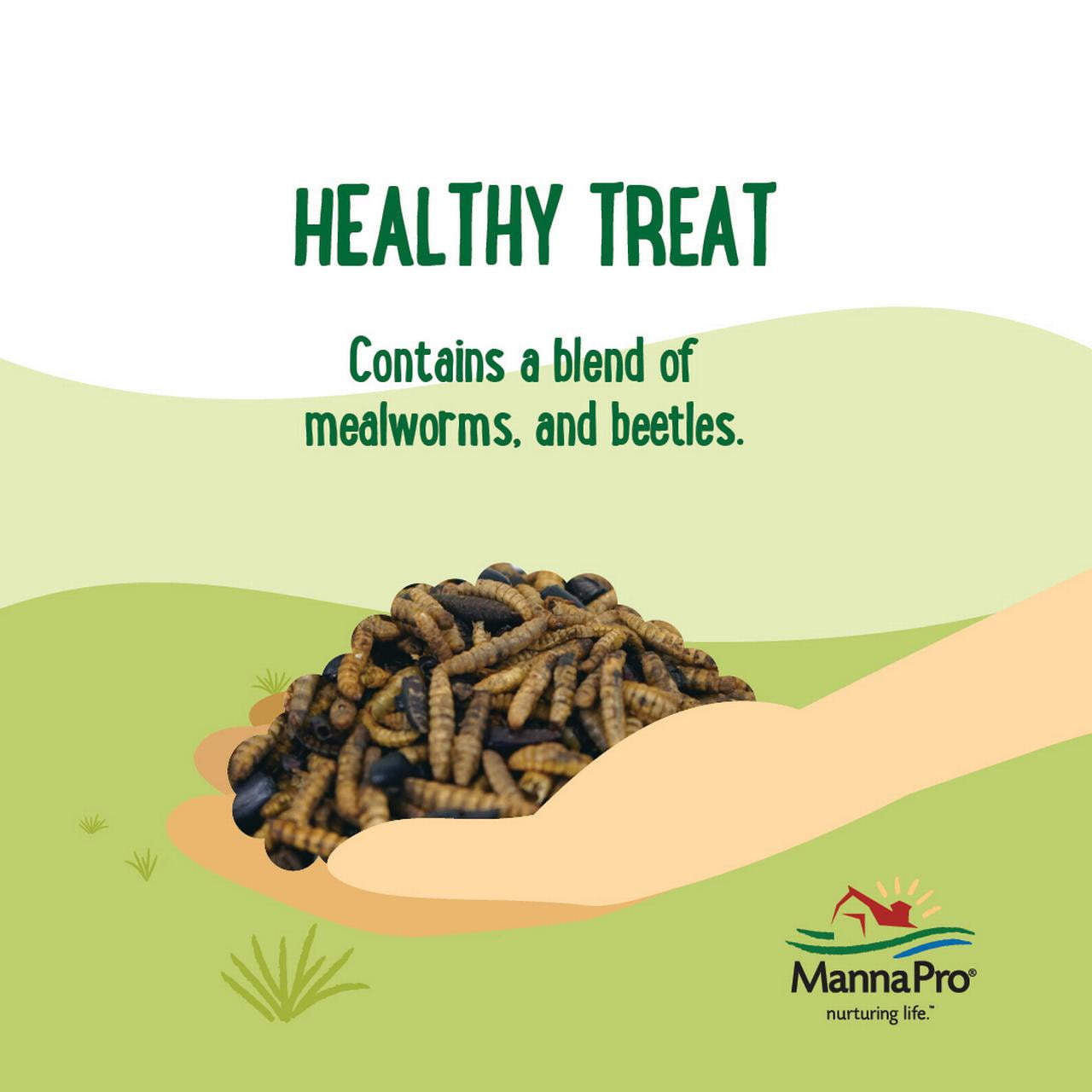 (3 pack) Manna Pro Farmhouse Favorites Meal Beetle Bliss 2lb