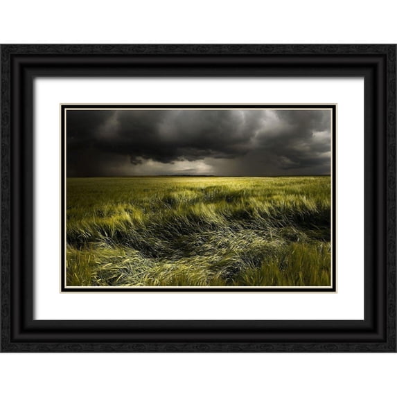 Schumacher, Nicolas 18x13 Black Ornate Wood Framed with Double Matting Museum Art Print Titled - summer Weather
