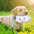 thumbnail image 3 of Juguete Interactivo Para Perros Con Forma De Nube Que Chirría, Para Gatos, Suave, Para Perros, Adiestramiento De Cachorros, 3 of 4