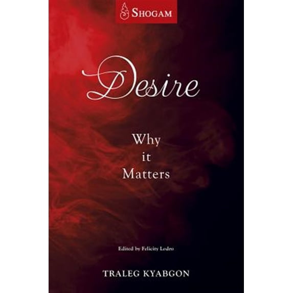 Pre-Owned Desire : Why It Matters (Paperback)