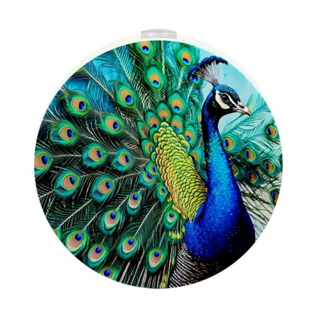 

Night Light Night Lights Plug into Wall 2-Pack Nightlight Plug in Night Light Dusk to Dawn Night Lamp Led Night Light for Adults Kids Room Peacock Vintage Painting