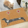 thumbnail image 4 of Funny Door Mats Outdoor Welcome Doormats Entrance Rug Farmhouse Decor Home Kitchen Floor Rugs for Kitchen mats, Front Back Doors, Pets and Dogs, Home Indoor Outdoor Decorations, 4 of 5