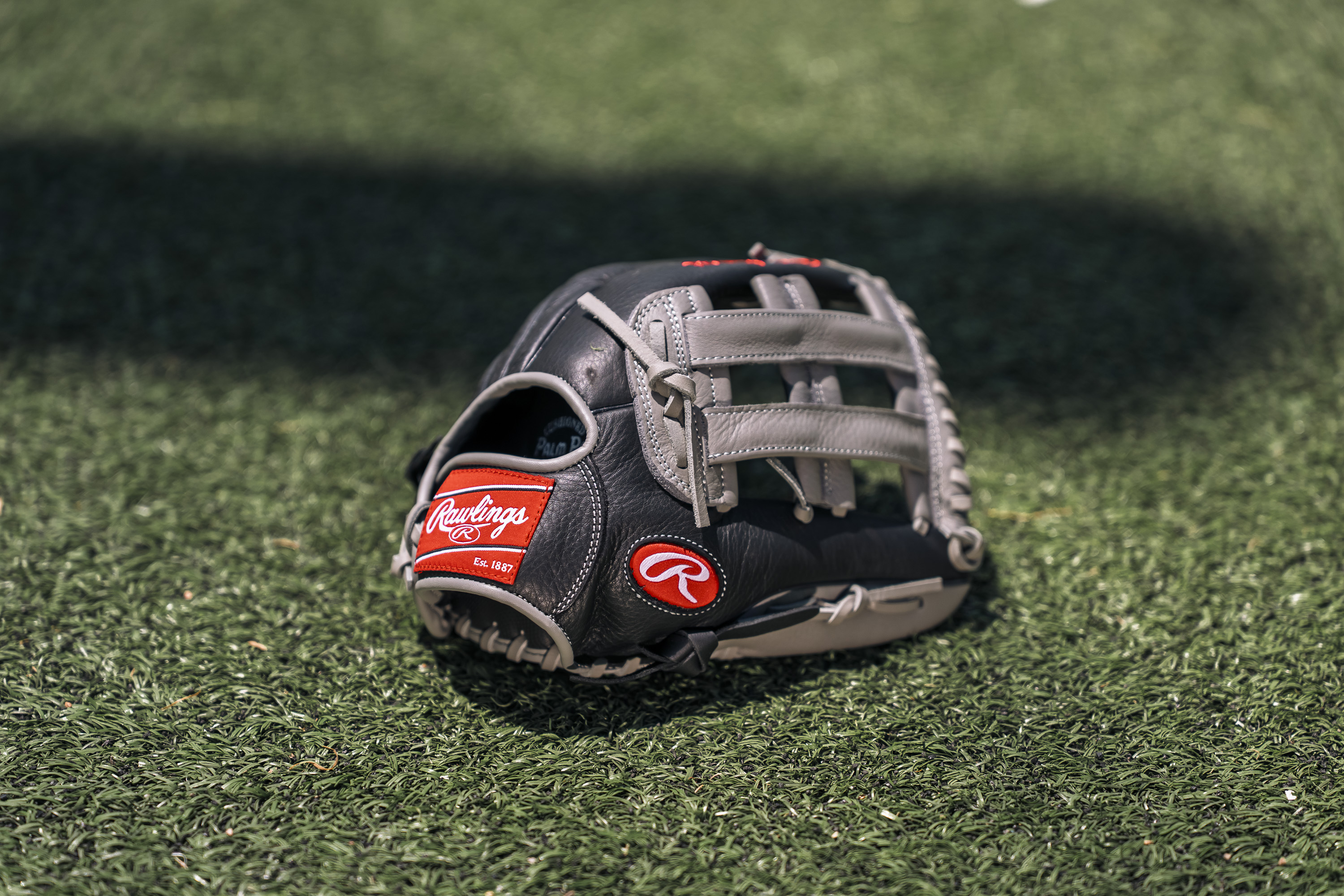 Rawlings Pro Select Series 12.5 In. Baseball Glove photo 5