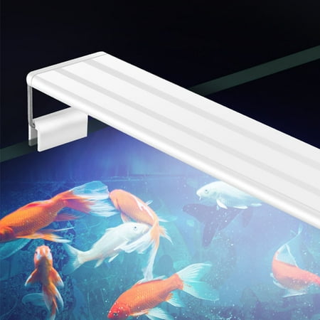 Blue Led For Fish Tank LED Lamp with Extensible Clip for Aquarium Fish Tank Lighting White Blue Light Four rows of GX-A200 white blue ()