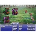 thumbnail image 4 of Final Fantasy Origins [PlayStation 1], 4 of 4