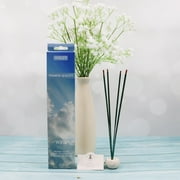 HOSLEY Aromatic Incense Sticks, Wind Scent, 240 Count - Ideal for Home, Meditation, Aromatherapy