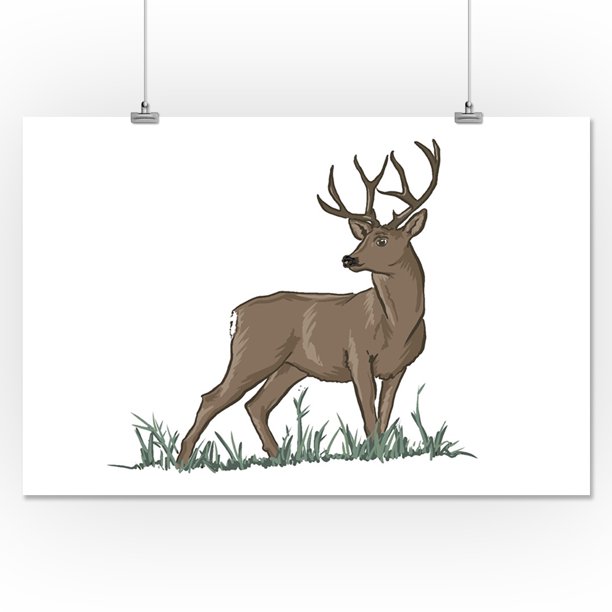 Download Mule Deer Icon Lantern Press Artwork 16x24 Giclee Gallery Print Wall Decor Travel Poster Walmart Com Walmart Com