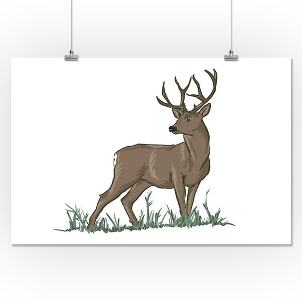 Download Mule Deer Icon Lantern Press Artwork 16x24 Giclee Gallery Print Wall Decor Travel Poster Walmart Com Walmart Com