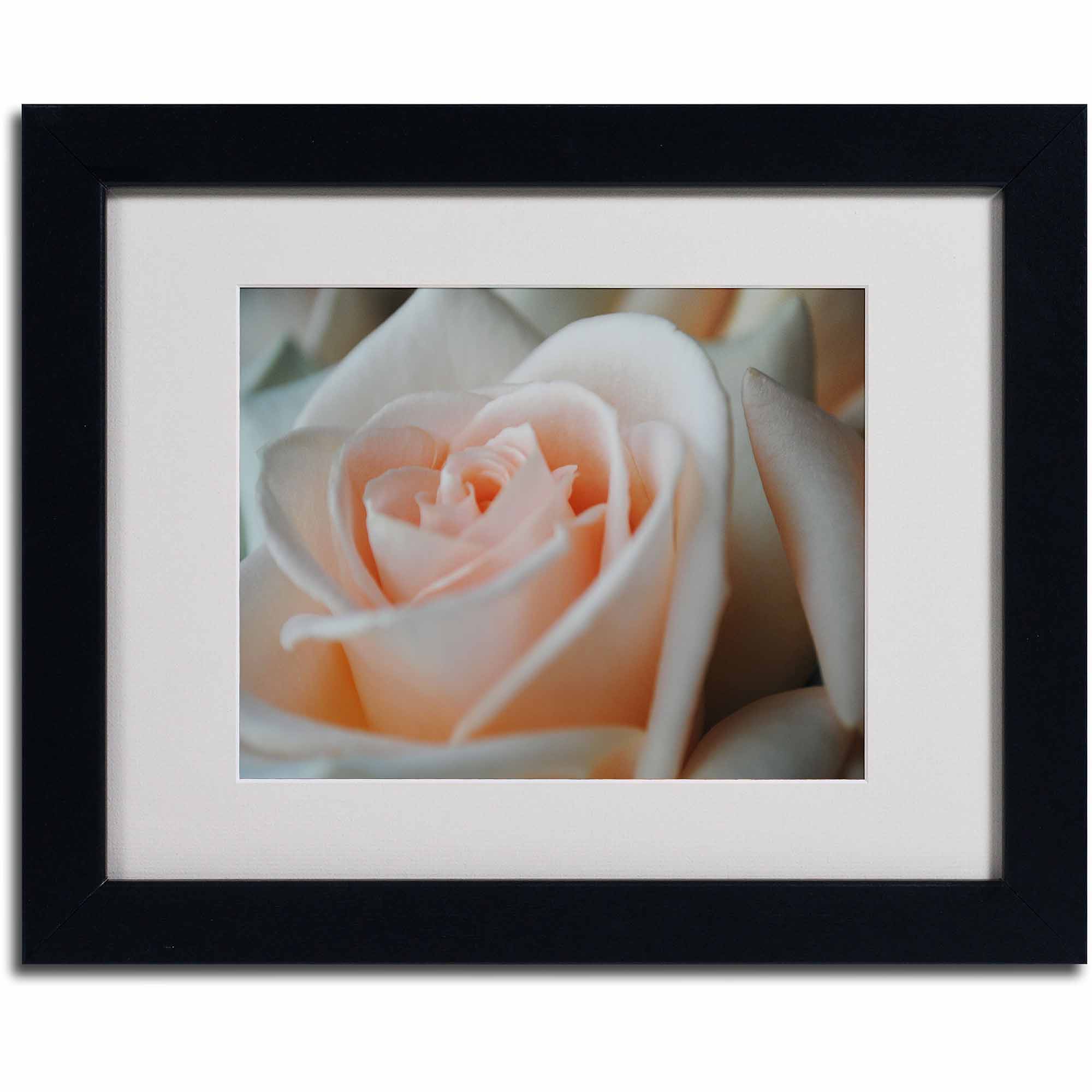Trademark Fine Art "Perfezione" by Monica Fleet, Black Frame