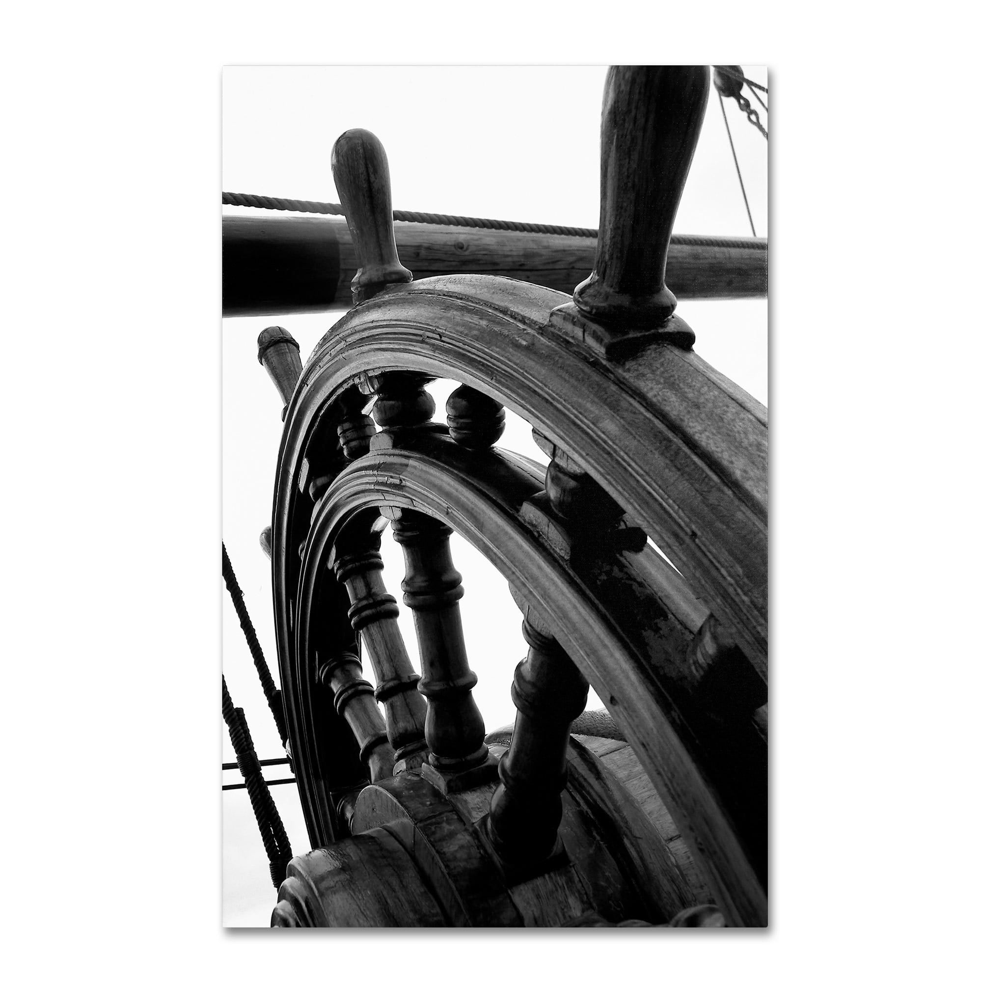 Trademark Fine Art "Masterful Guidance" Canvas Art by Monica Fleet