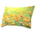 thumbnail image 2 of Marigold Flowers Velvet Oblong Lumbar Plush Throw Pillow Cover/Shams Cushion Case - 20x26in - Decorative Invisible Zipper Design for Couch Sofa Pillowcase Only, 2 of 5